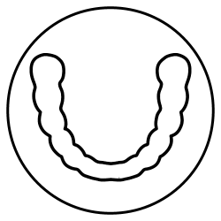 New-Icons dental